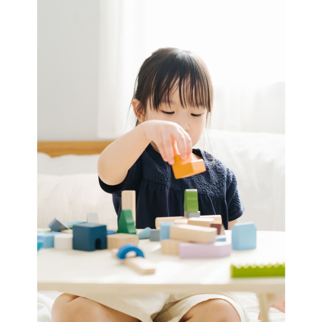 PlanToys USA Urban City Blocks