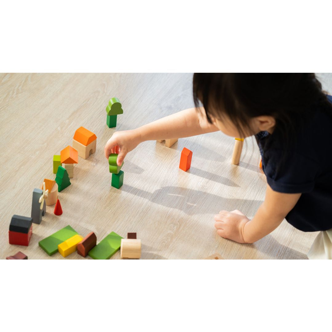 PlanToys Countryside Blocks