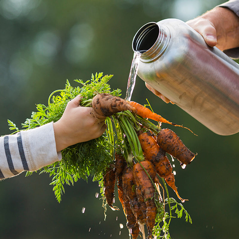 Klean Kanteen 64 oz Wide Water Bottle with Loop Cap