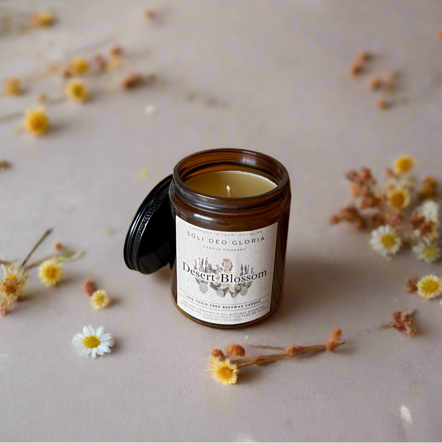 Soli Deo Gloria Candle Company Veritas & Vitalis Spring Collection | Hand-Poured 100% Beeswax Candle Gift Set