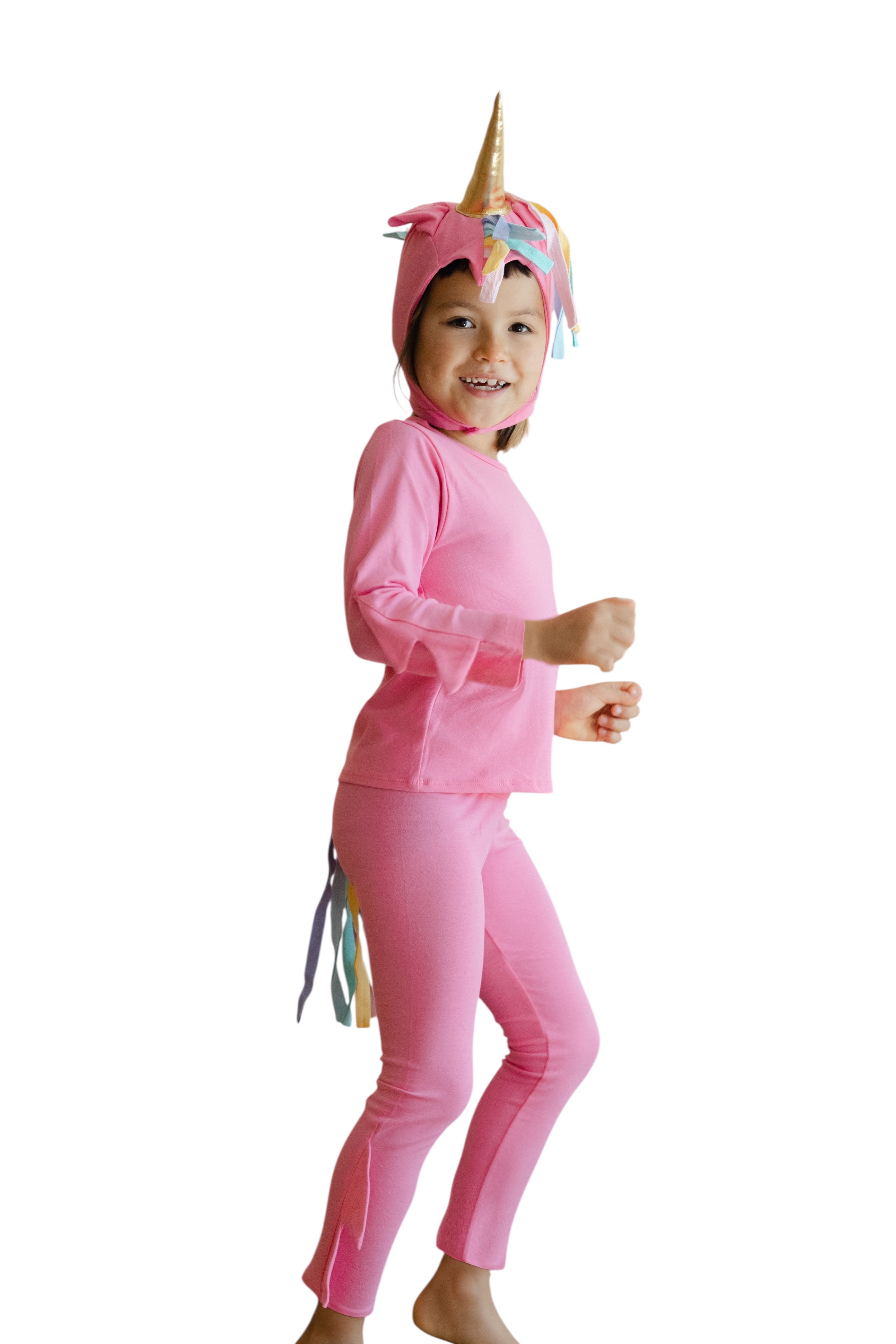 Band of the Wild Pink Unicorn Costume