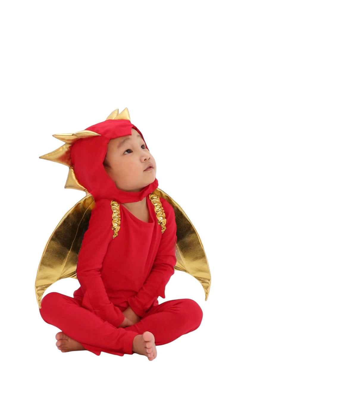 Band of the Wild Sunfire Red Dragon with Gold Wings
