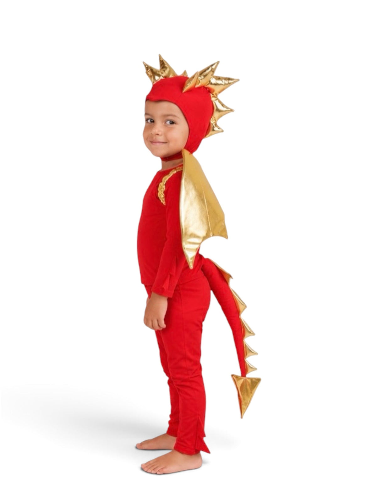 Band of the Wild Sunfire Red Dragon with Gold Wings