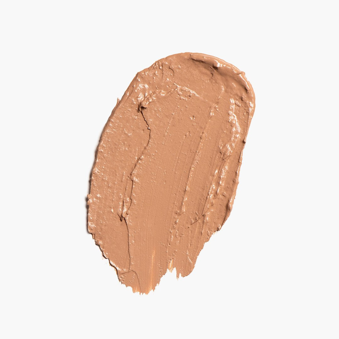 Axiology Fungdation - Mushroom Foundation