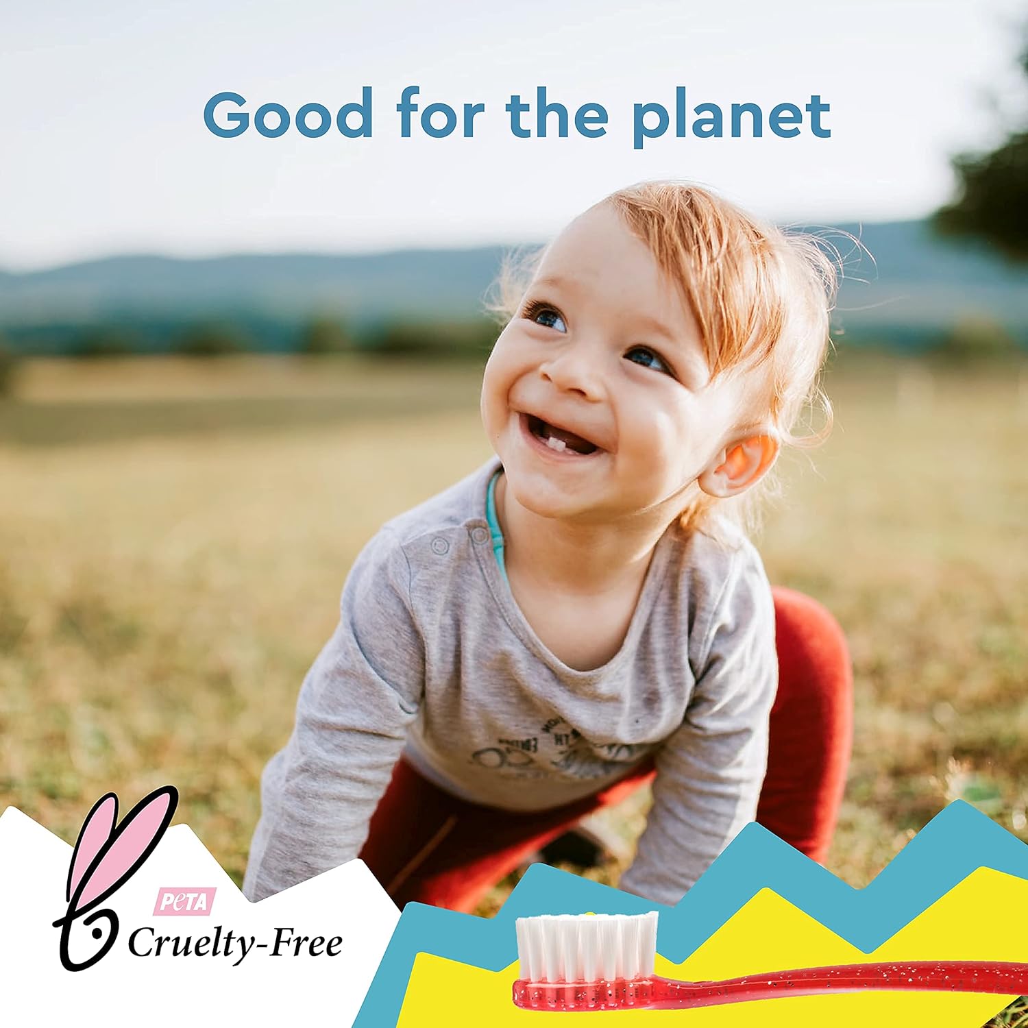 Radius Totz® Brush (18 mo+)