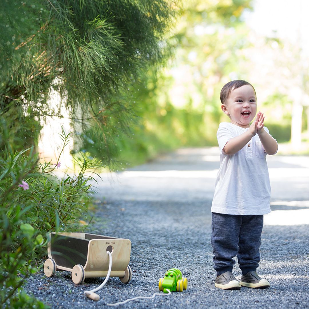 PlanToys Wagon - Black