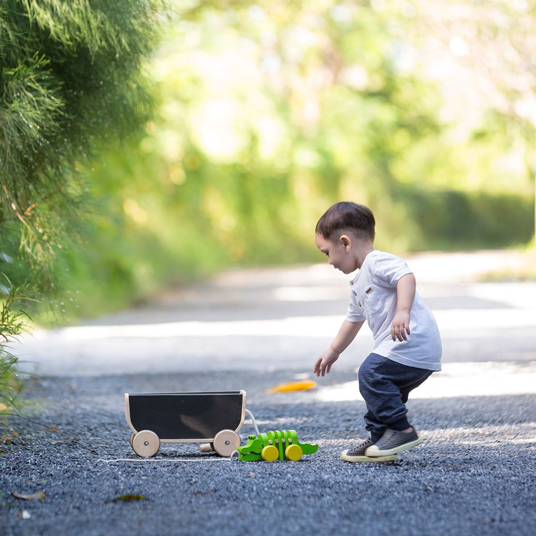 PlanToys Wagon - Black