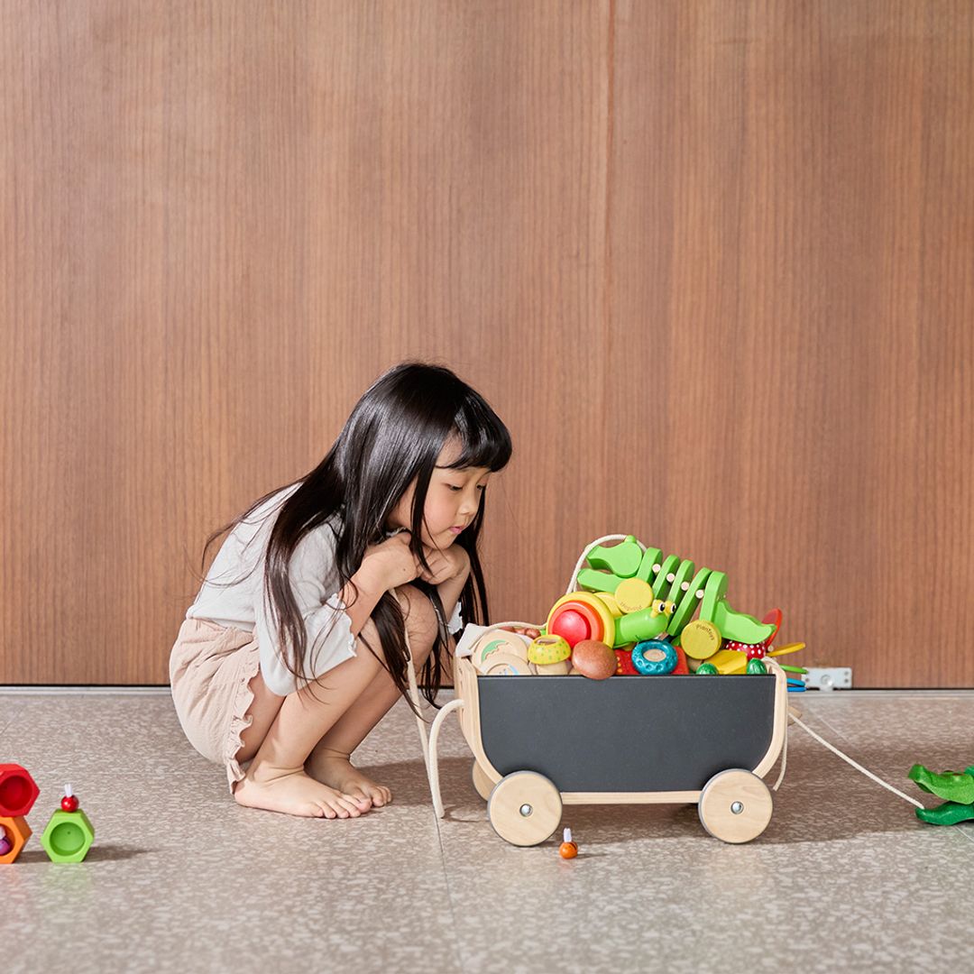PlanToys Wagon - Black
