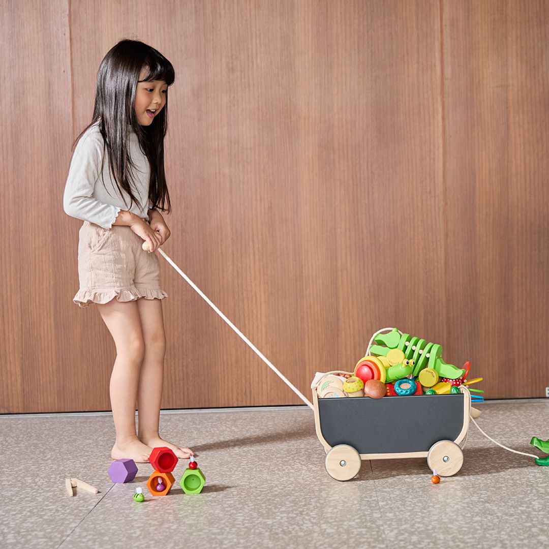 PlanToys Wagon - Black