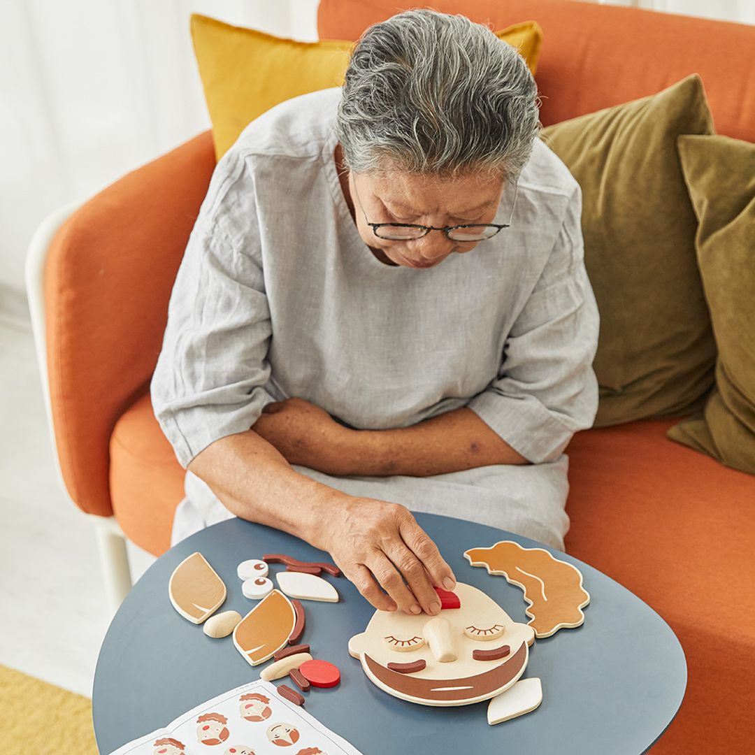 PlanToys Build A Face