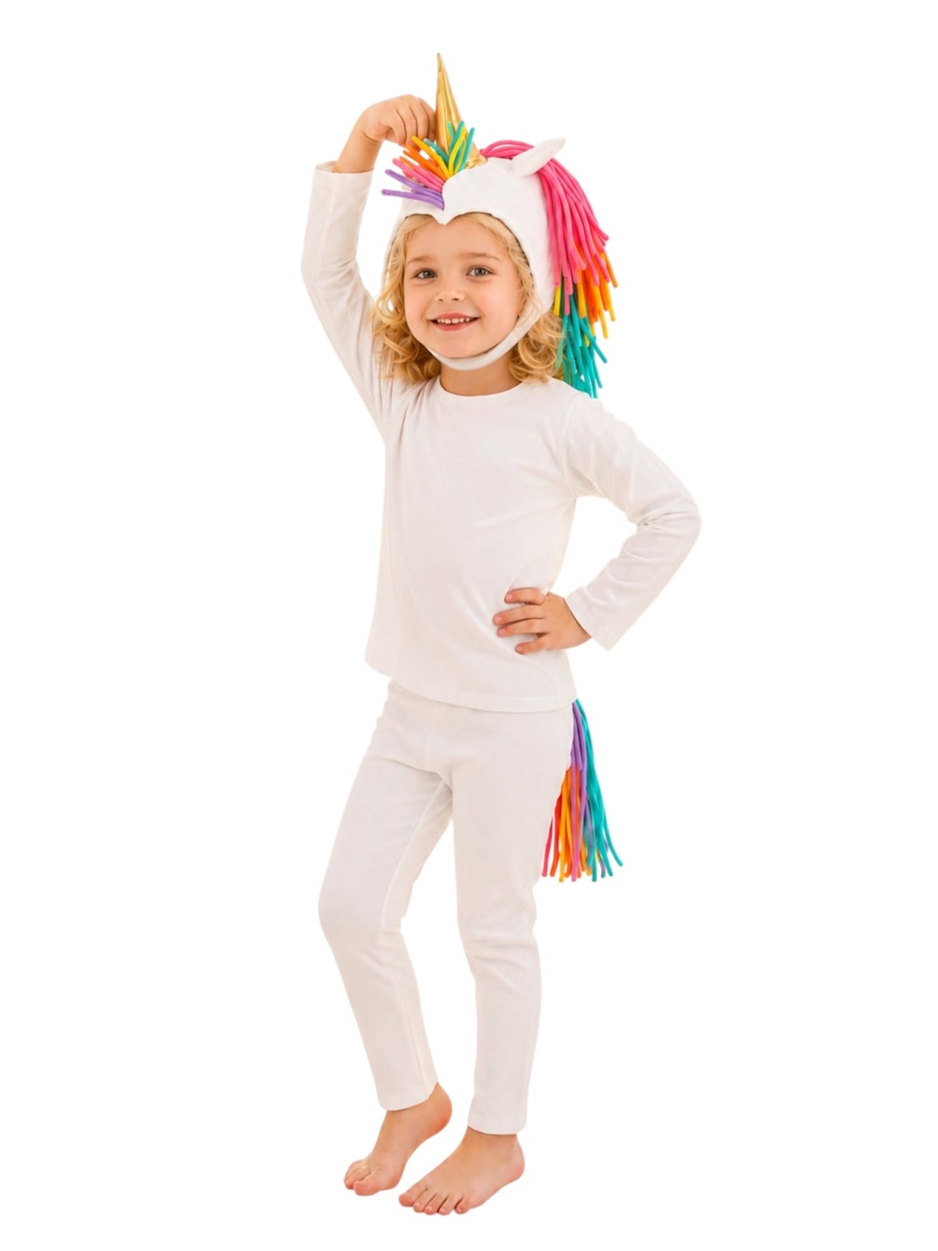 Band of the Wild Rainbow Dream Unicorn