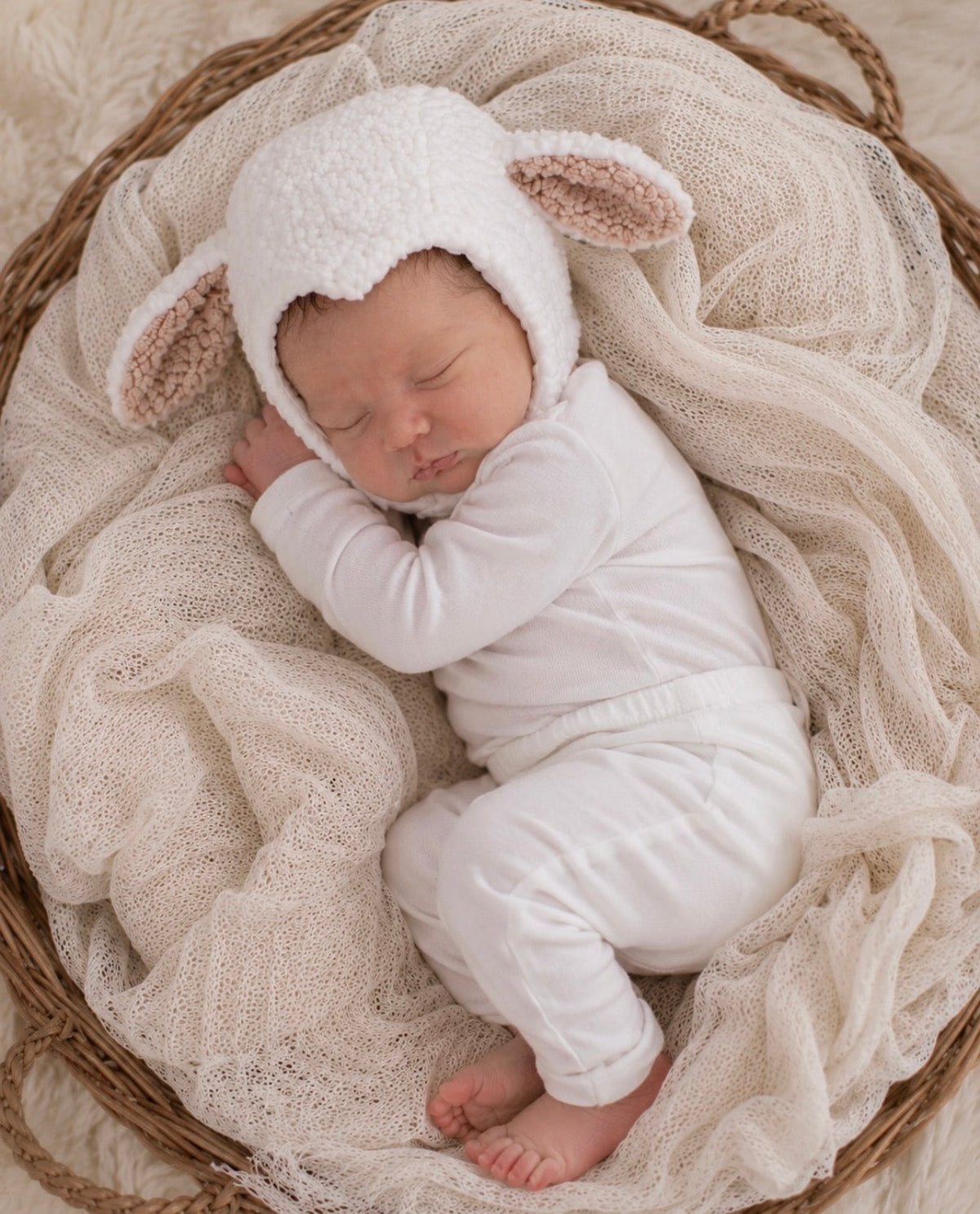 Band of the Wild White Sheep Costume