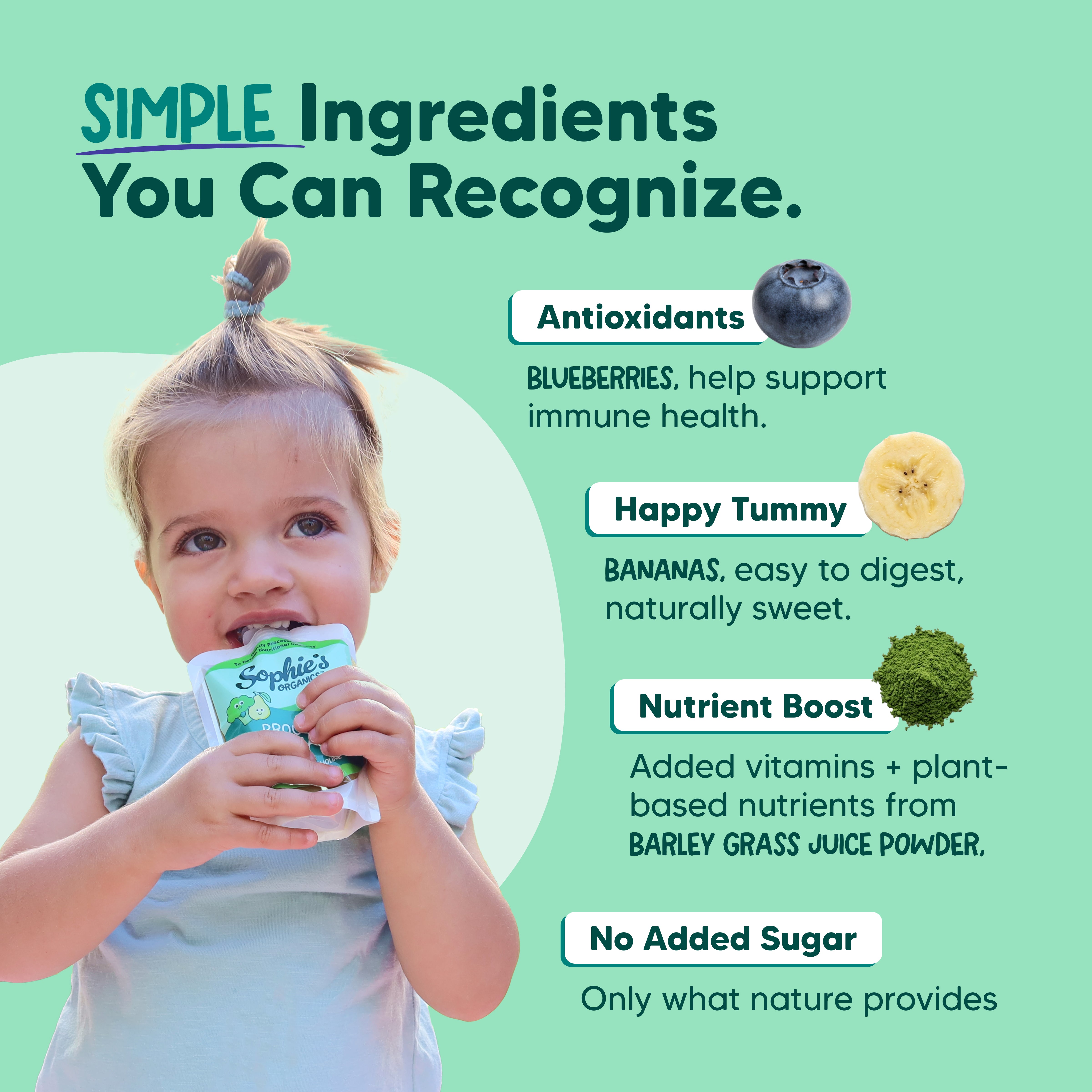 Sophie's Organics Berry Cool Organic Pouches (6 Pack)