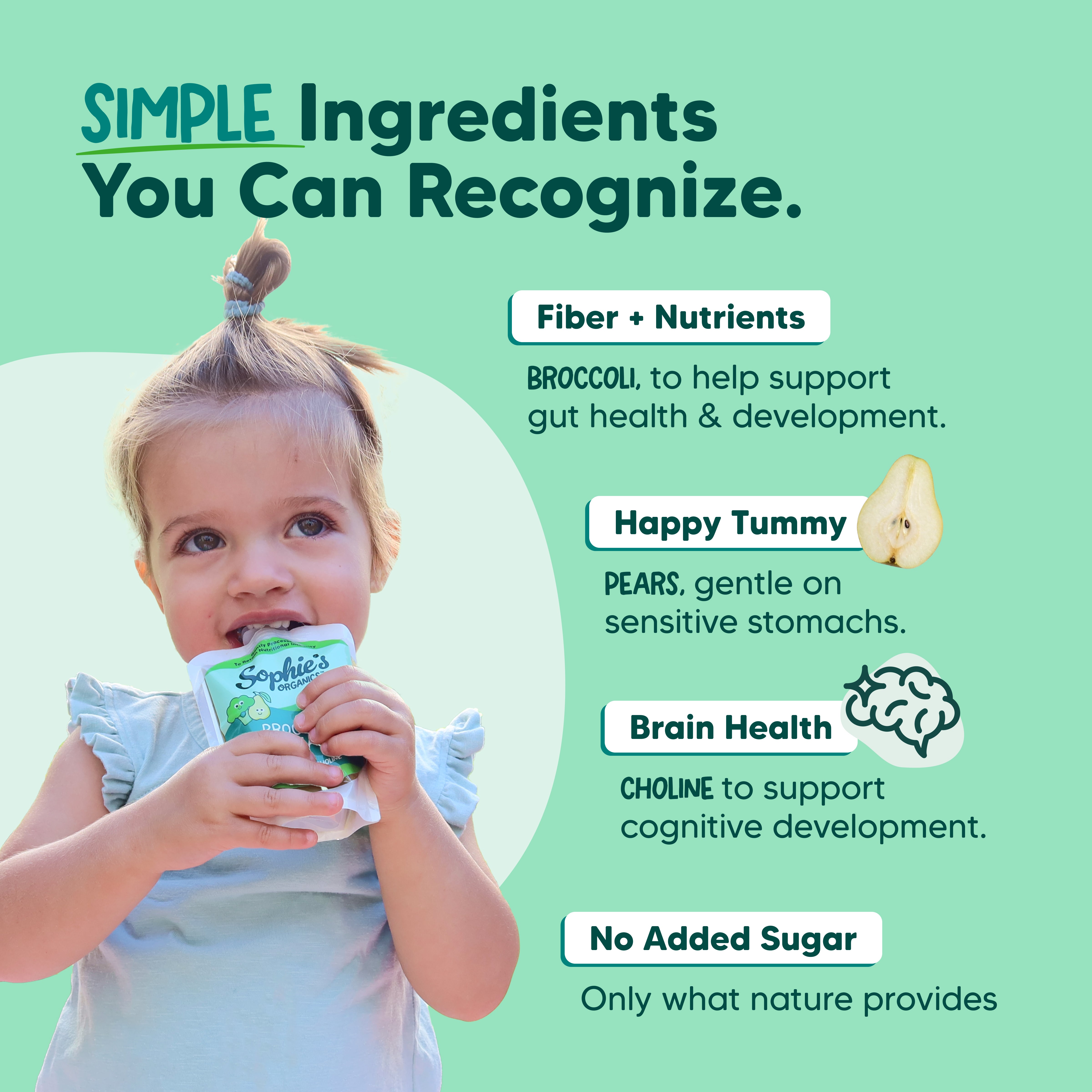Sophie's Organics Green Dream Organic Pouches (6 pack)