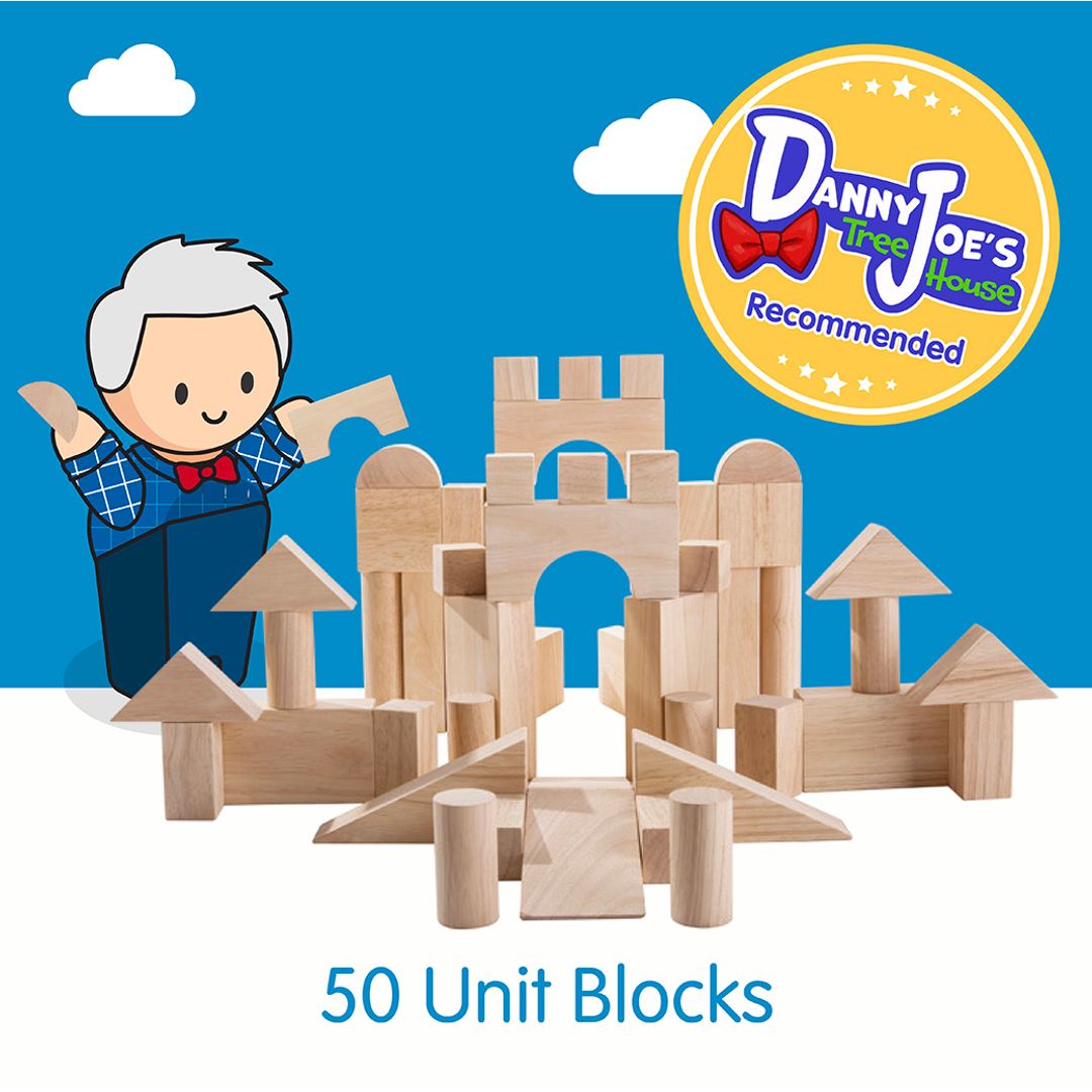 PlanToys 50 Unit Blocks