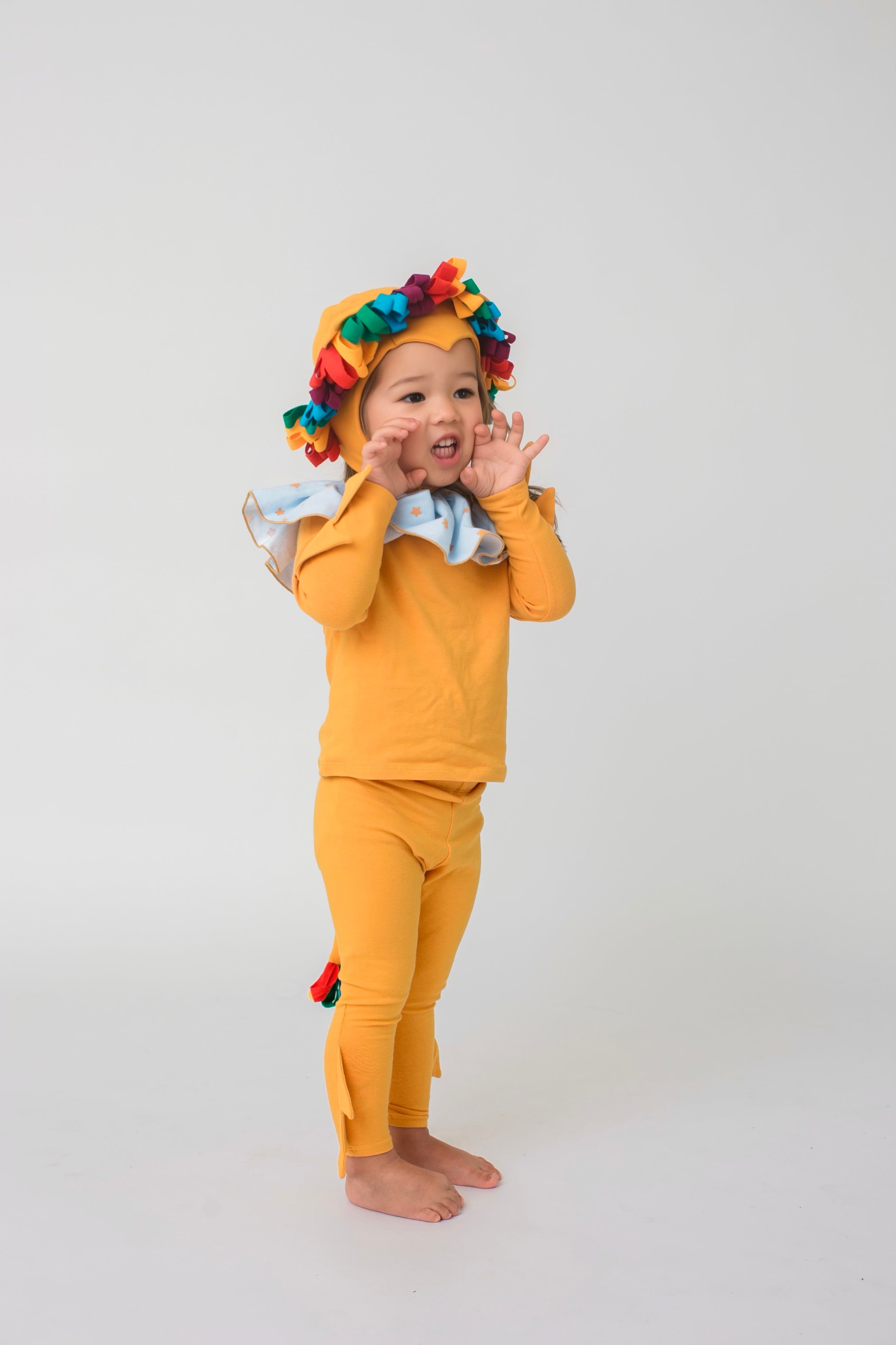 Band of the Wild Rainbow Circus Lion Pajama Costume