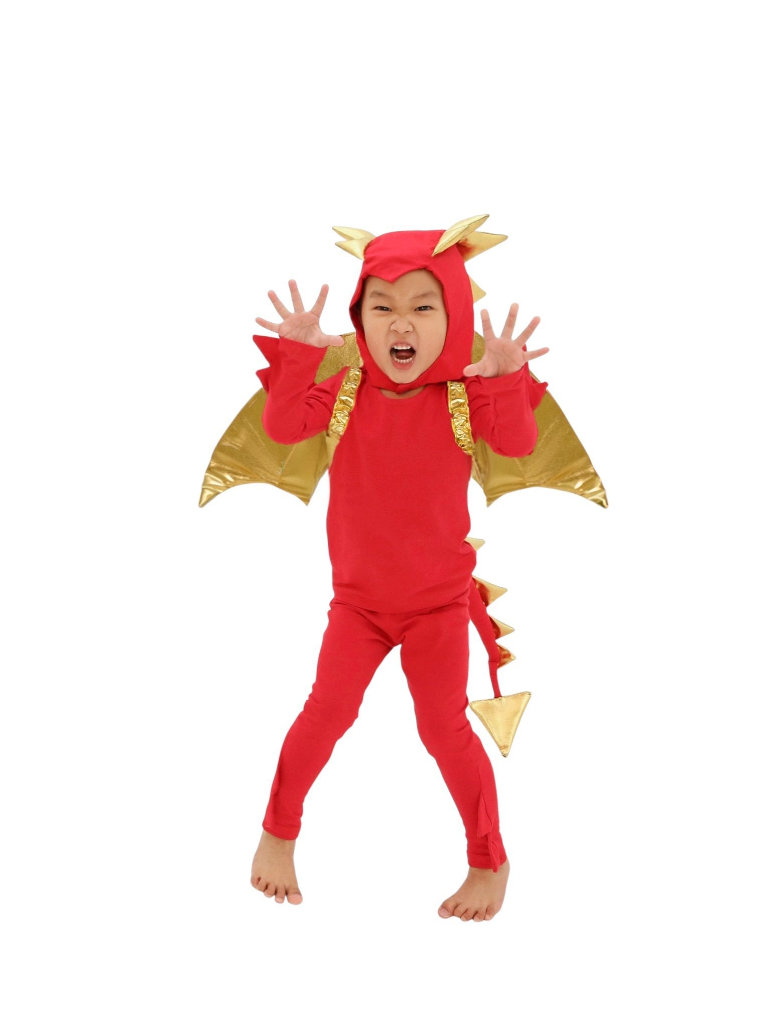Band of the Wild Sunfire Red Dragon with Gold Wings
