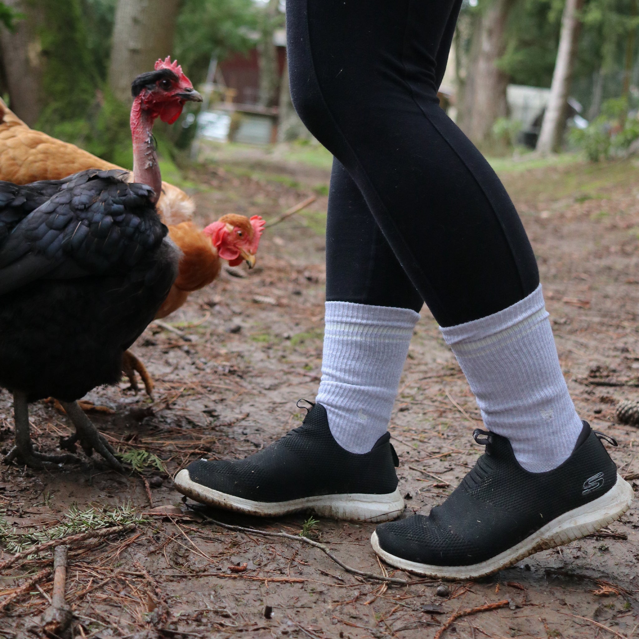 Conscious Step Comfort Crew Socks that Save Farm Animals