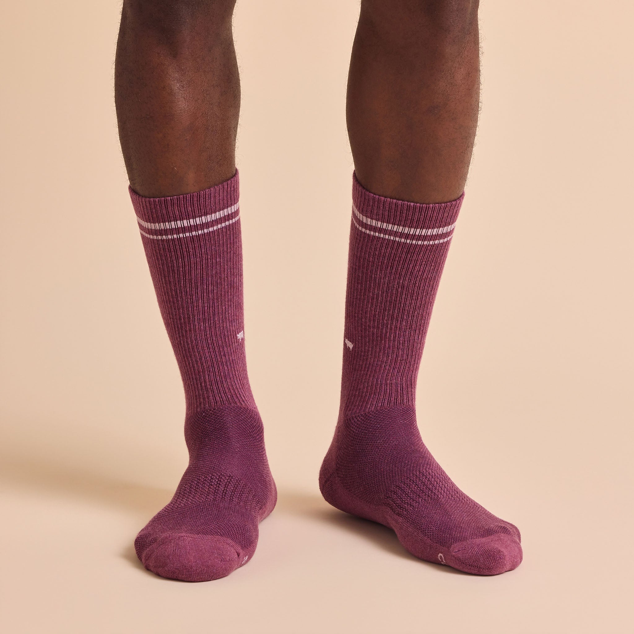 Conscious Step Comfort Crew Socks that Save Farm Animals