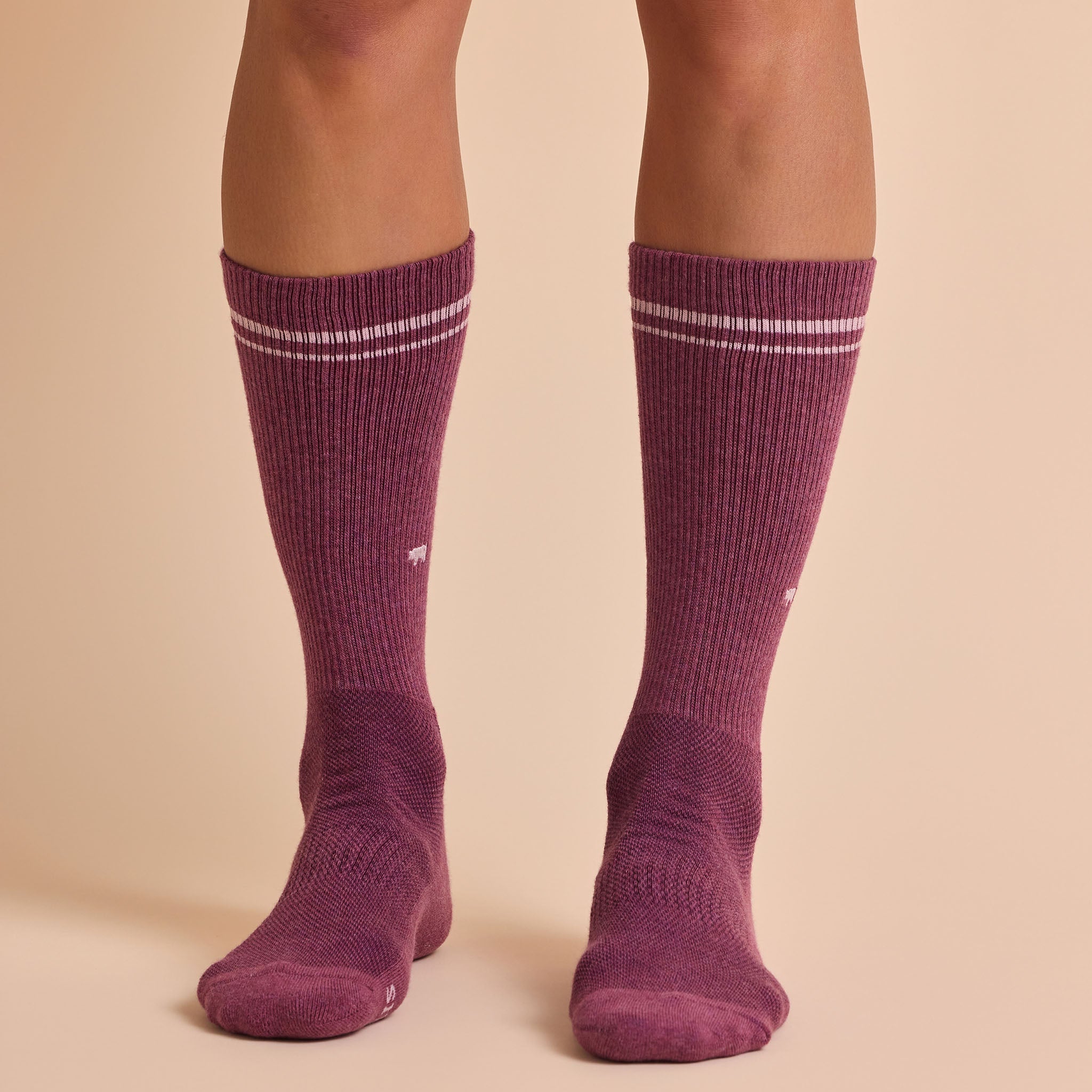 Conscious Step Comfort Crew Socks that Save Farm Animals