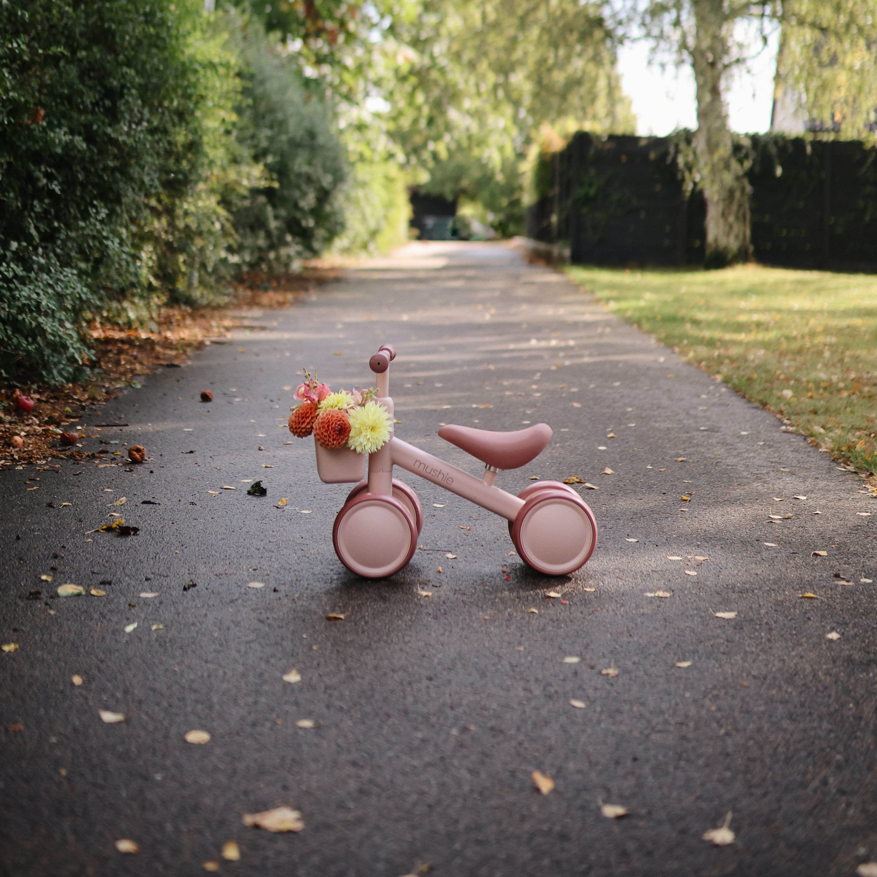 Mushie Mini Toddler Bike