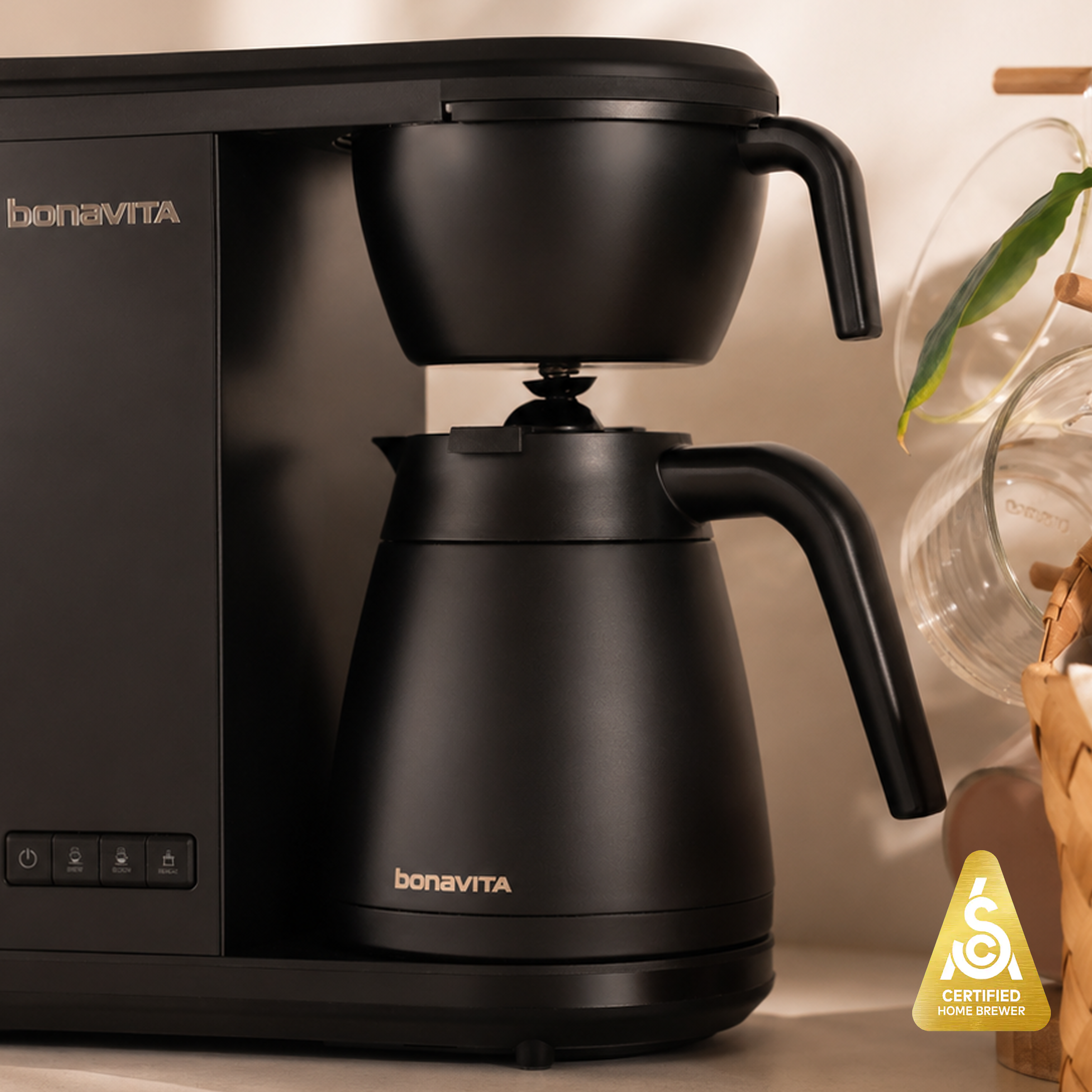 Bonavita Enthusiast 8-Cup Drip Coffee Brewer with 1.3L Thermal or Glass Carafe