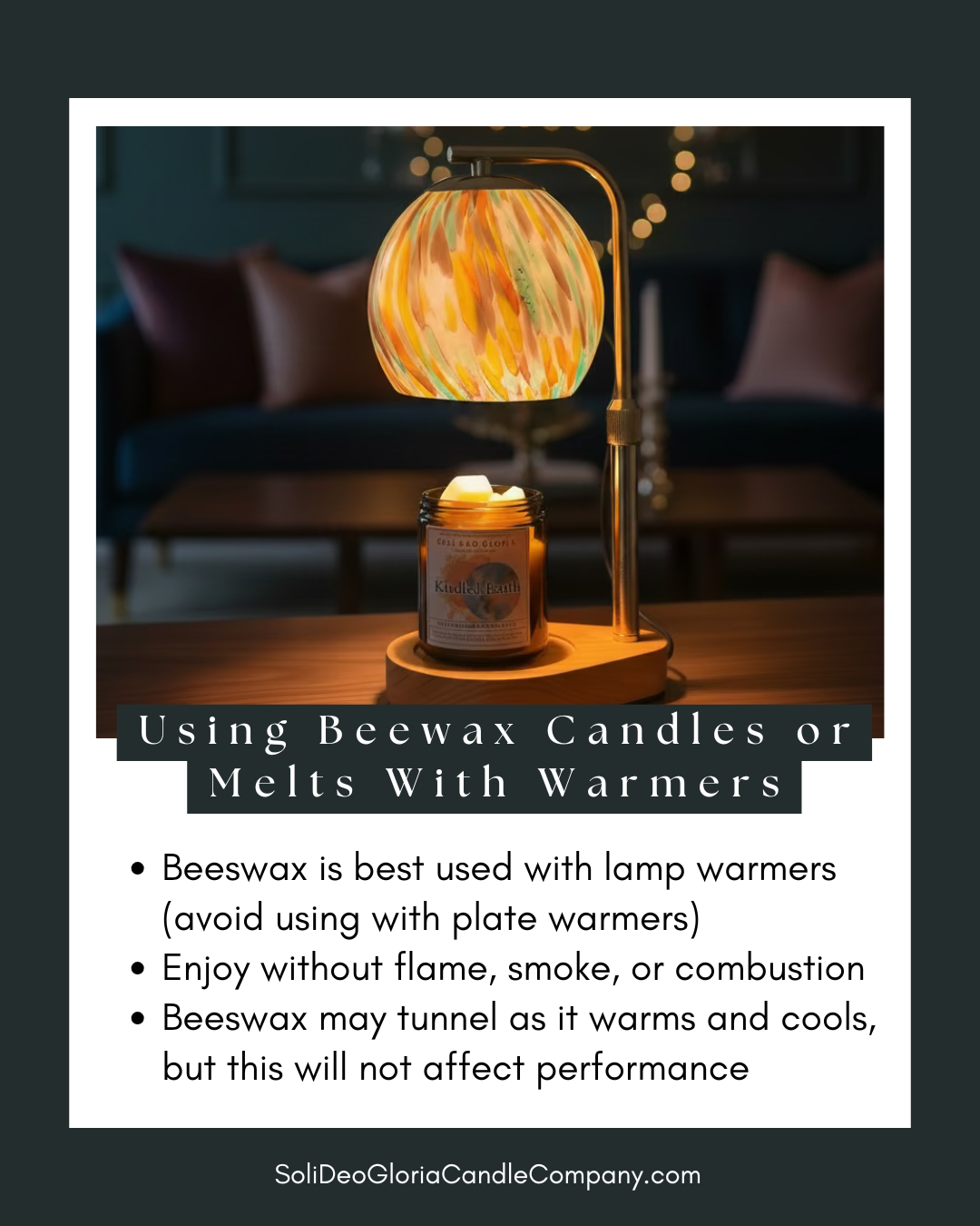 Soli Deo Gloria Candle Company Winter Woods Beeswax Candle | Evergreen Tree Scent