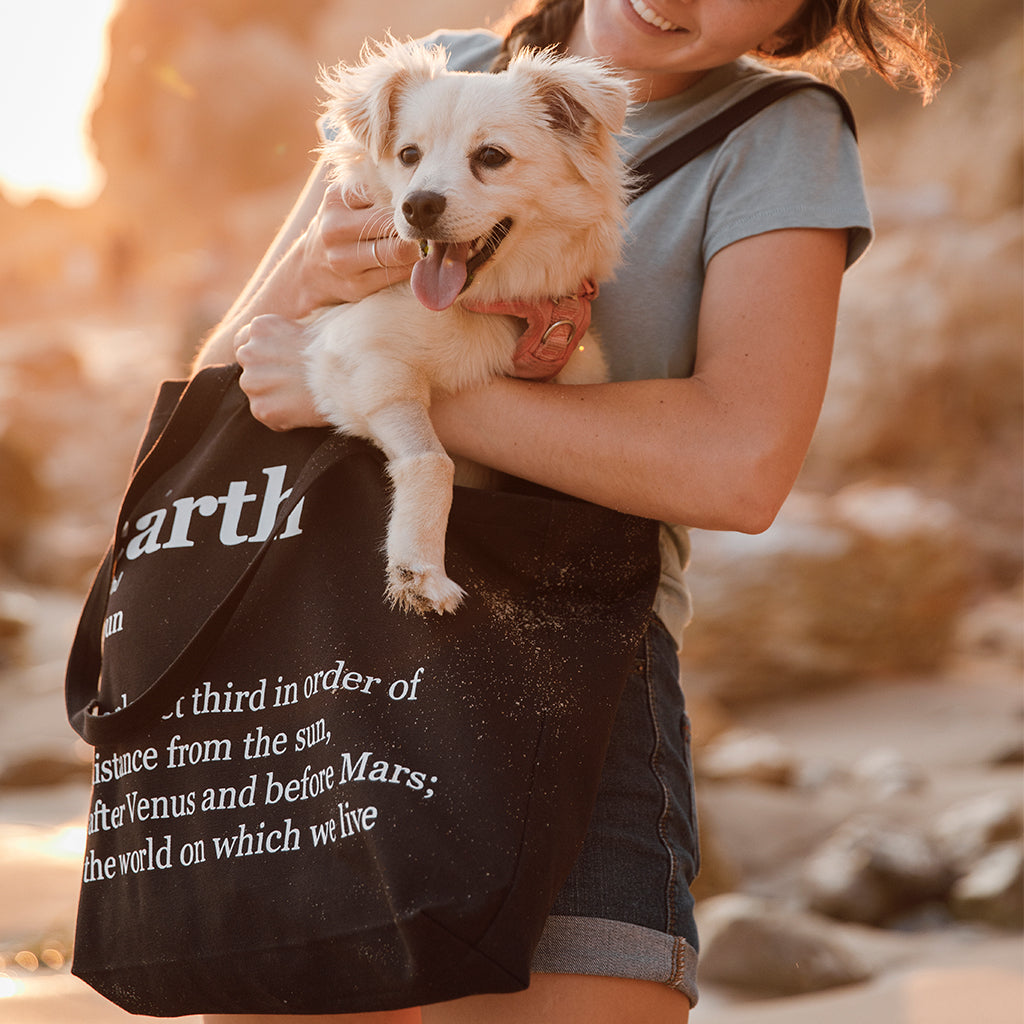 Terra Thread® Organic Cotton Canvas Tote Bag - Avani Tote
