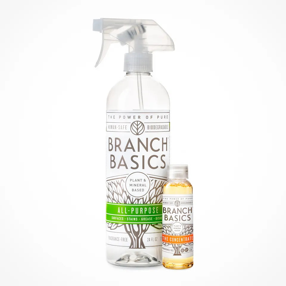 Branch Basics
