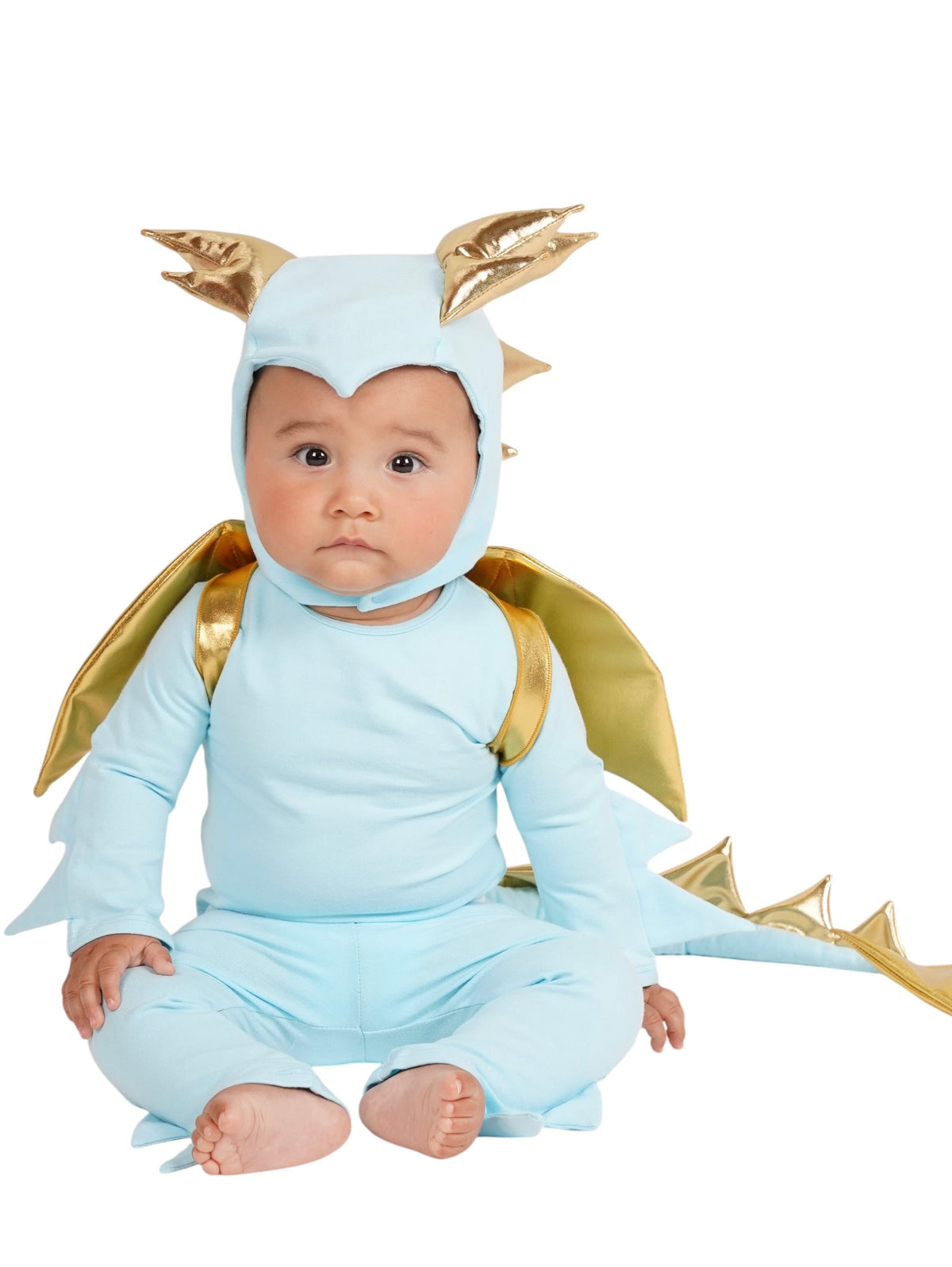 Band of the Wild Baby Sky Blue Dragon Costume