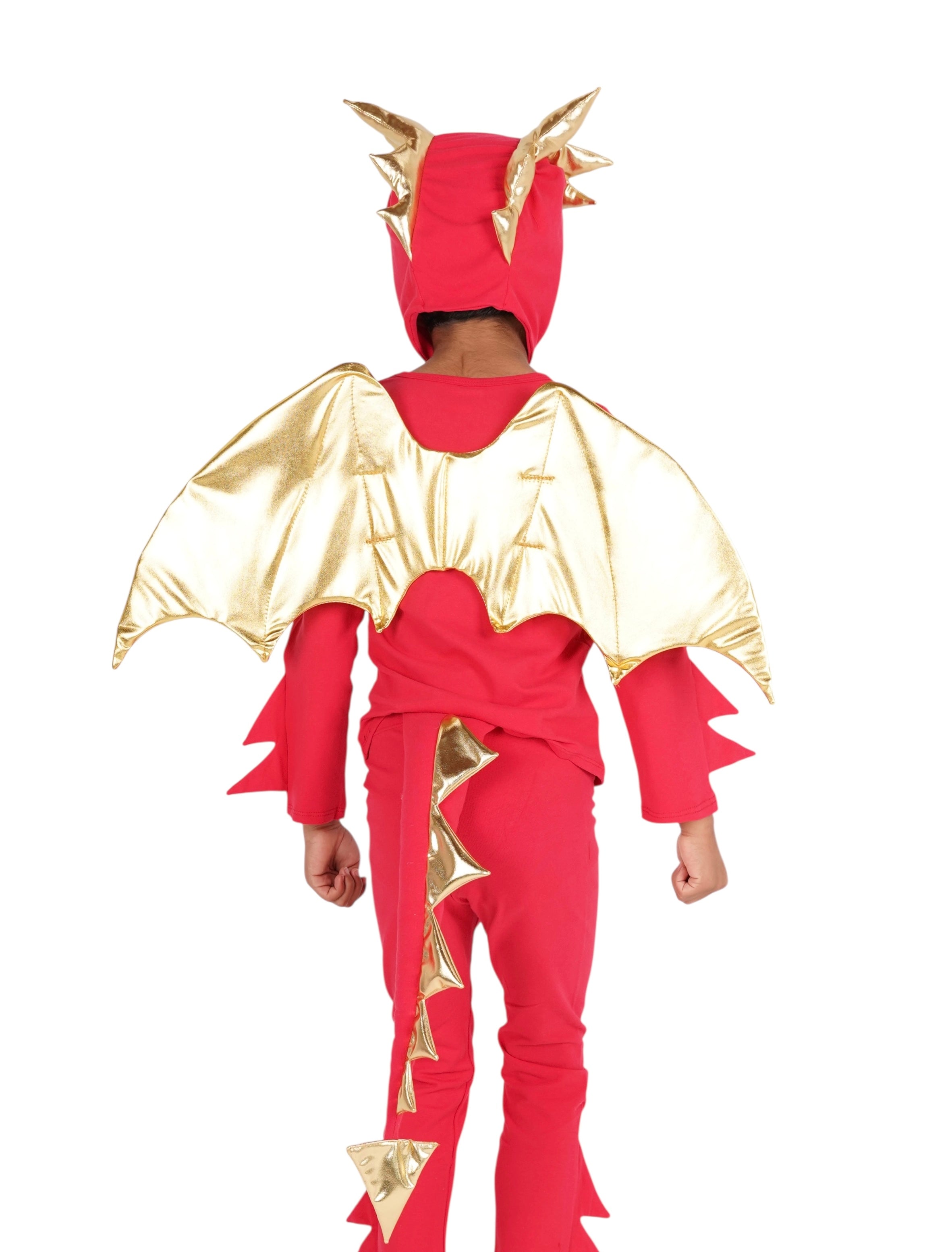 Band of the Wild Sunfire Red Dragon with Gold Wings