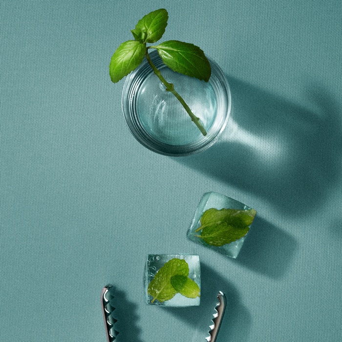Cleo + Coco Powder + Balm - Basil Mint