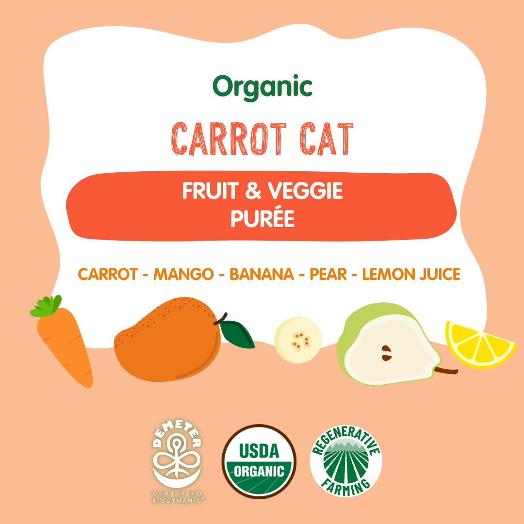 Holle Organic Carrot Cat Fruit & Veggie Pouches