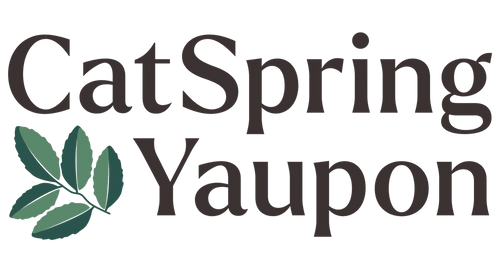 CatSpring Yaupon