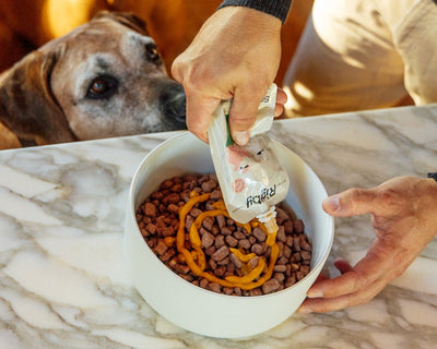 Pet Food