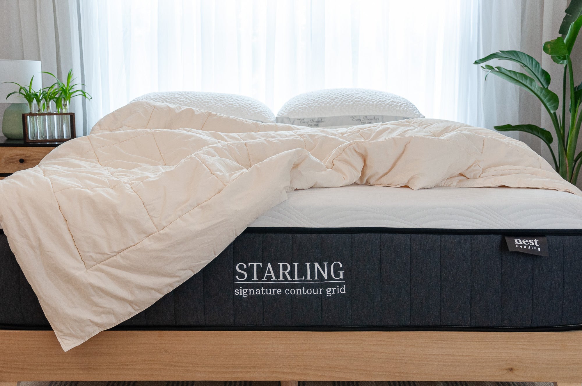 Starling mattress with beige comforter in a bedroom setting