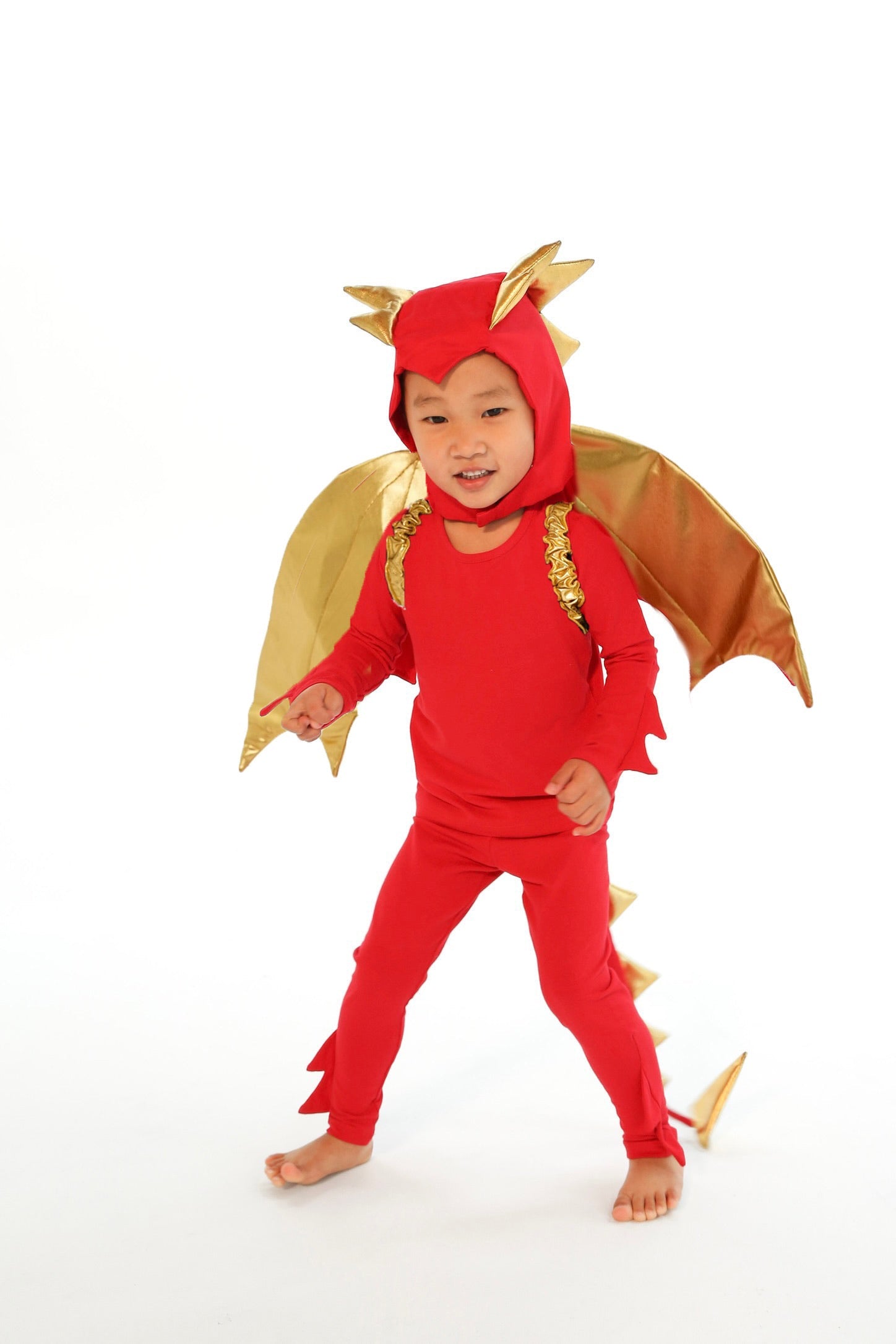 Band of the Wild Sunfire Red Dragon with Gold Wings