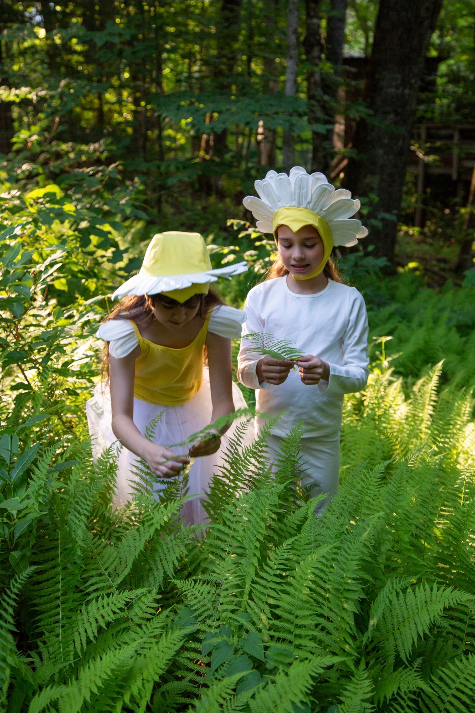 Band of the Wild Daisy Costume with Tutu