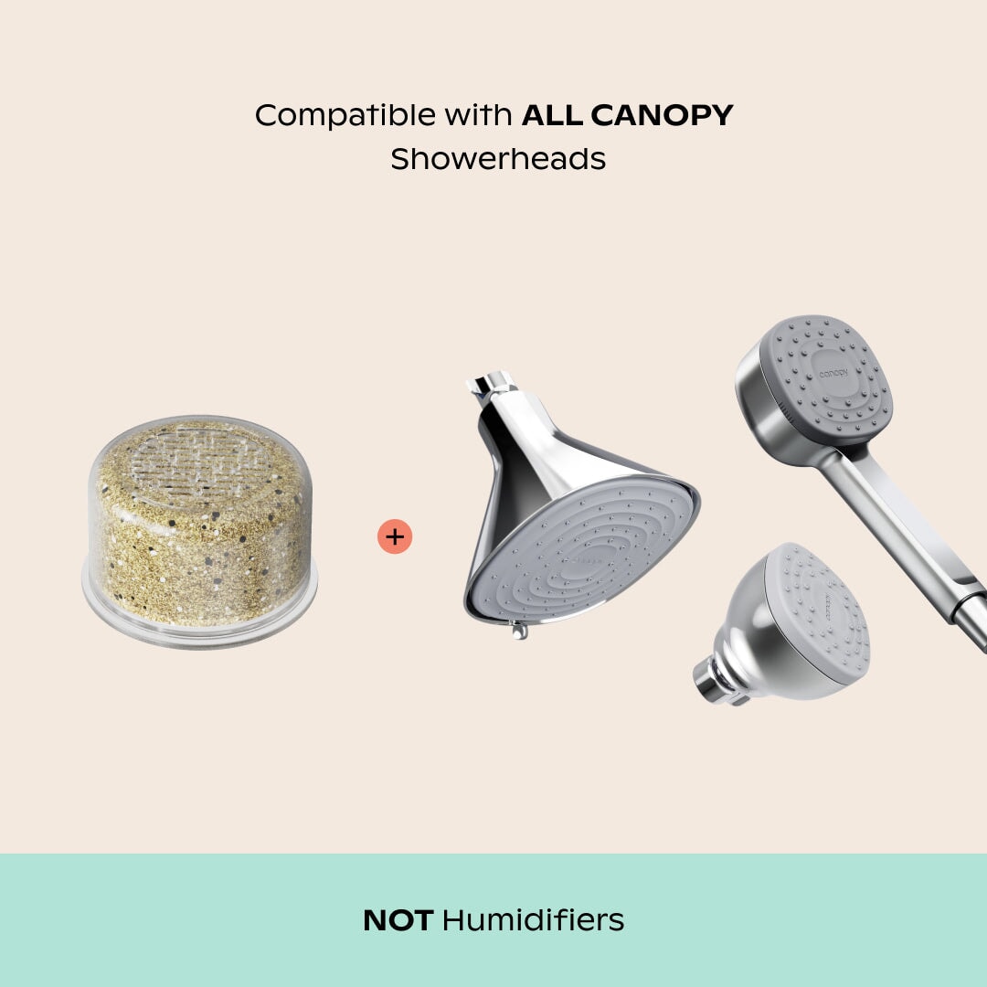 Canopy Showerhead Filter