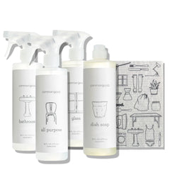 17. Everyday Cleaning Starter Set