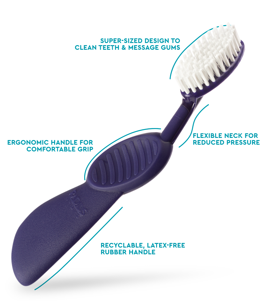 Radius Flex Brush