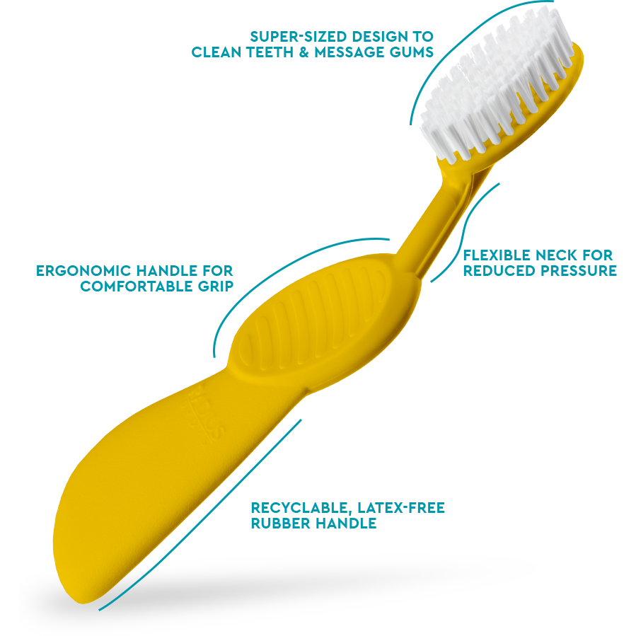 Radius Flex Brush