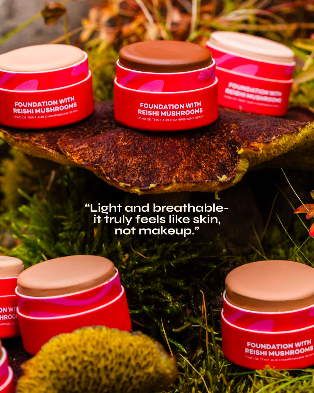 Axiology Fungdation - Mushroom Foundation