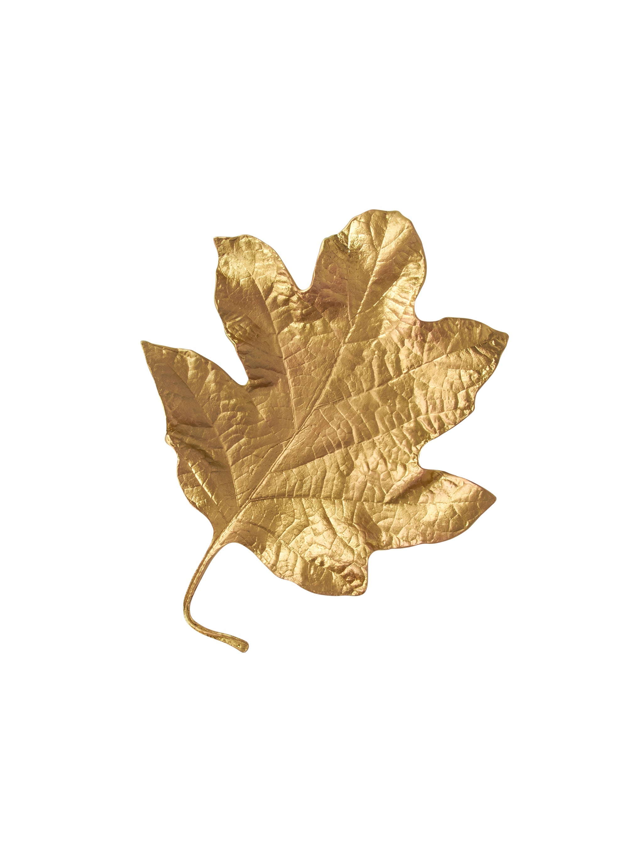 Gold leaf on a white background