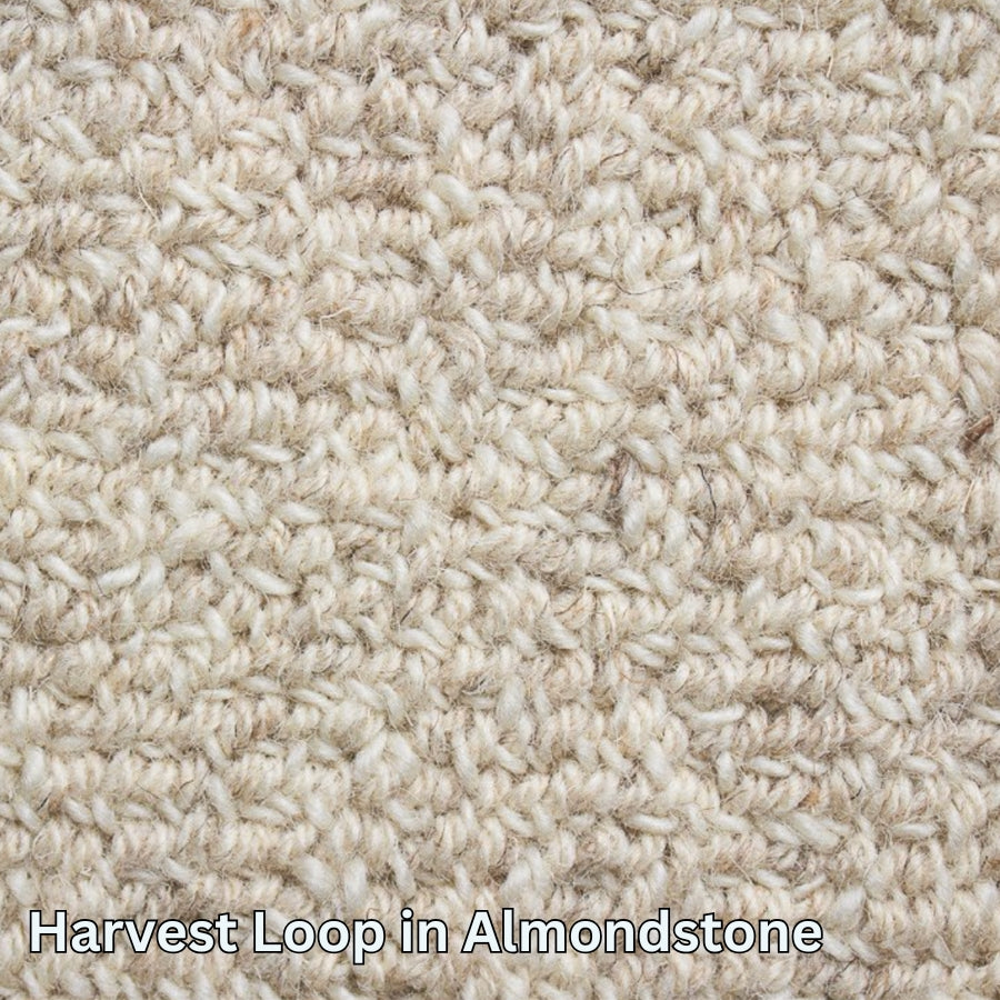 Clean Carpet