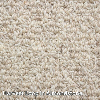 Clean Carpet