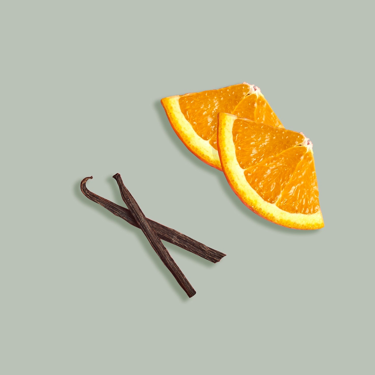 Two orange slices and two vanilla beans on a light green background