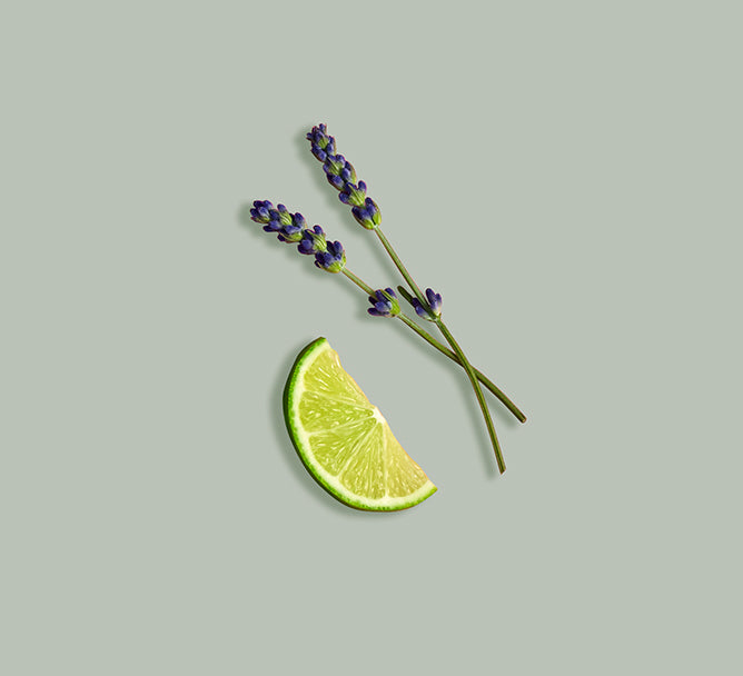 Lavender flowers and a lime wedge on a light gray background