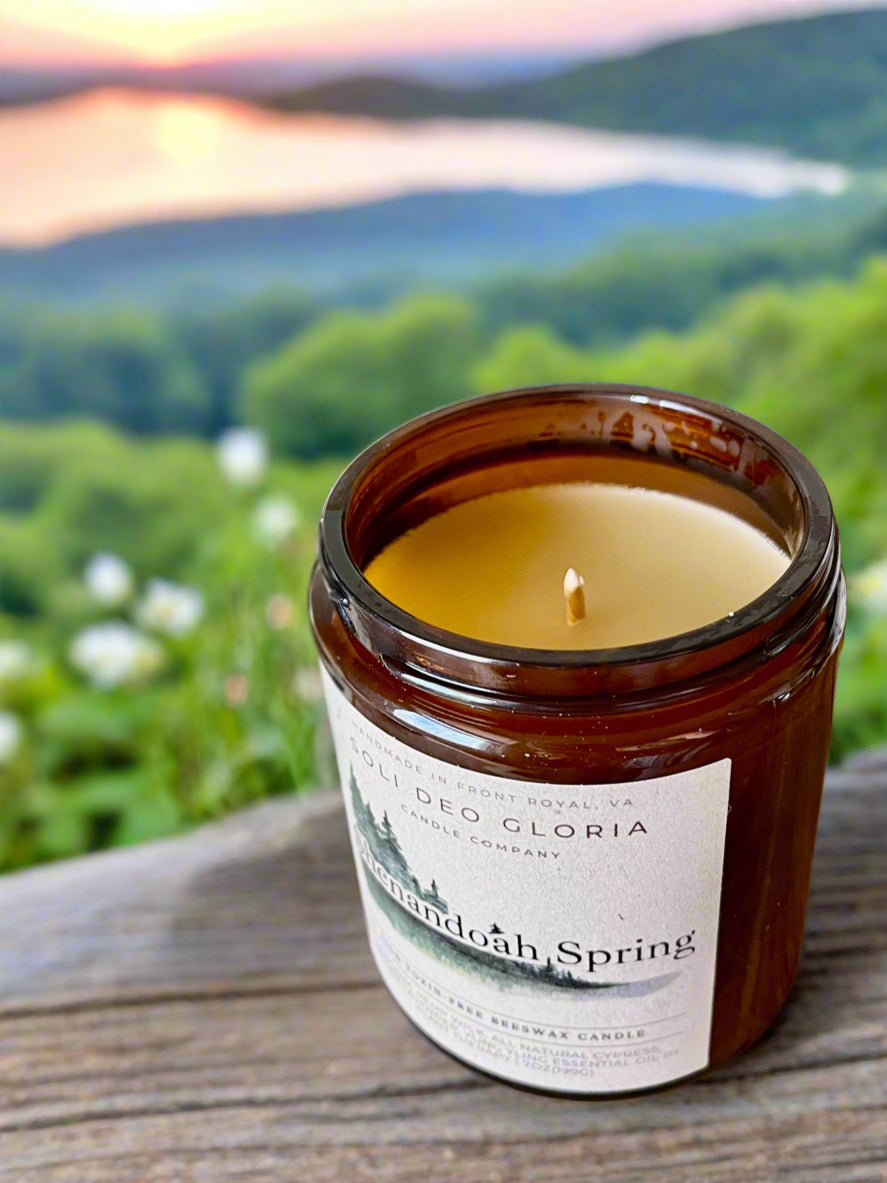 Soli Deo Gloria Candle Company Veritas & Vitalis Spring Collection | Hand-Poured 100% Beeswax Candle Gift Set