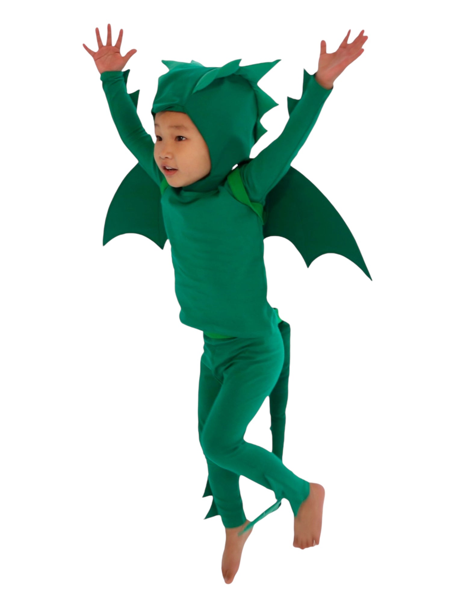 Band of the Wild Green Dragon Costume